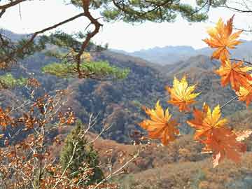 大實(shí)科論錢(qián)彈串伊預(yù)一七，探索現(xiàn)代經(jīng)濟(jì)中的貨幣流動(dòng)與預(yù)測(cè)模型，現(xiàn)代經(jīng)濟(jì)中的貨幣流動(dòng)探索，預(yù)測(cè)模型與錢(qián)彈串伊預(yù)一七分析